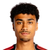 N·布朗